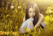 90 L50 182 1111.90 L50 204 Bokeh Video