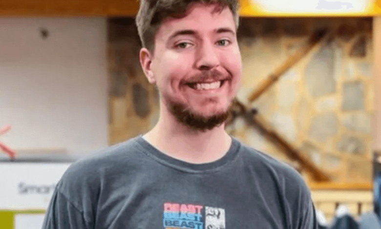Mr Beast Monthly Income