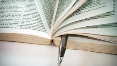fudholyvaz application usage guide