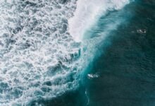 identifiers for activity overview