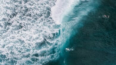 identifiers for activity overview