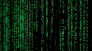 key findings for multiple entries