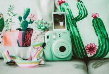 progress update on projects