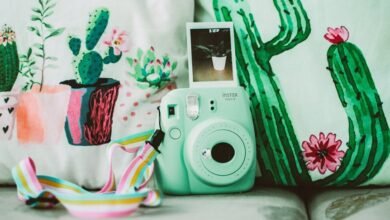 progress update on projects